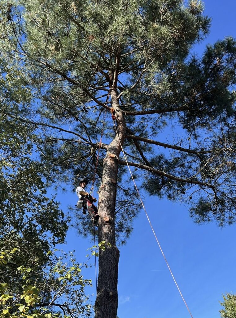 ace3e21d-25bb-4dd6-b414-5137c9489f03 (1)