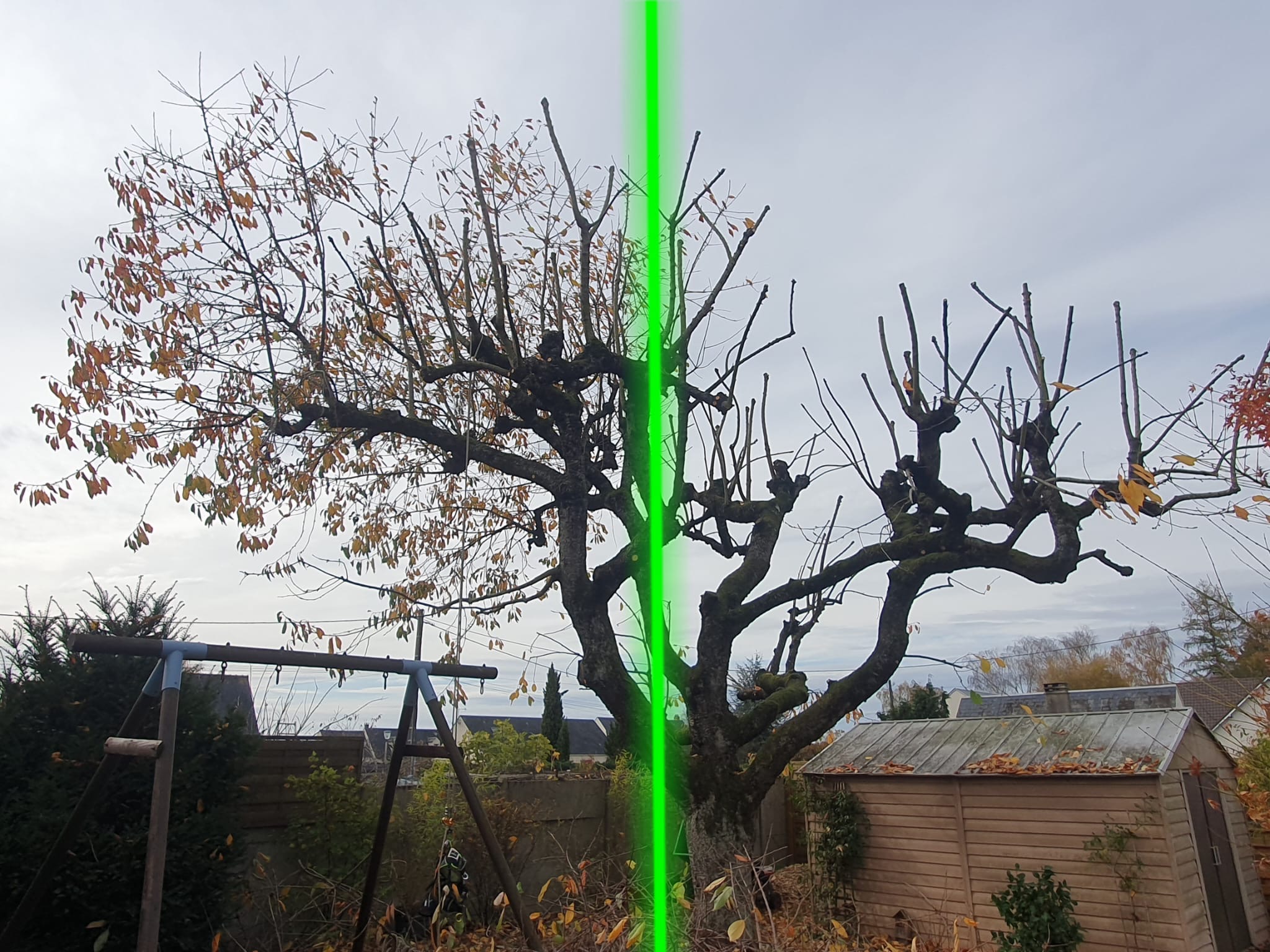 7547f00d-dfb6-4ad7-9ff7-d930c49ffe84