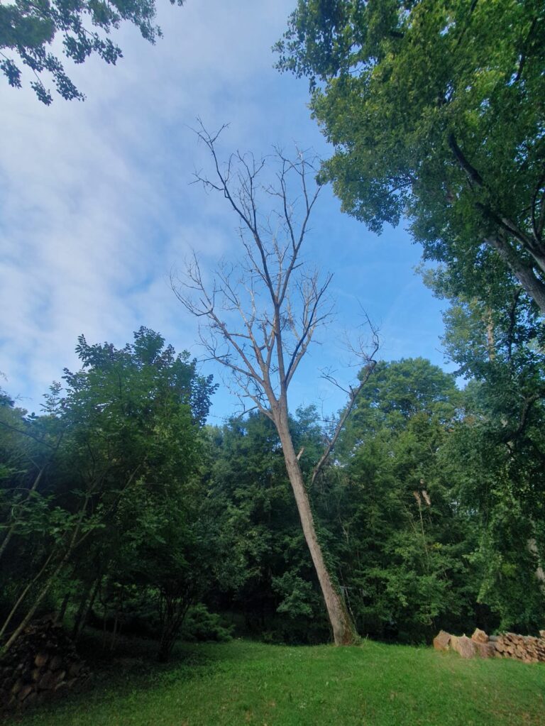 Démontage nacelle 1